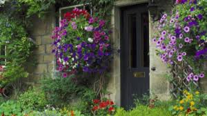 The original english cottage gardens (named for the humble homes they grew in front of) were informal in nature and simply supplied a family's needs. An English Cottage Garden Isn T For Everybody Dengarden