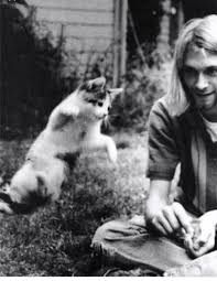 Kurt Cobain He Loves Cat Nirvana Binatang Lucu Dan Binatang