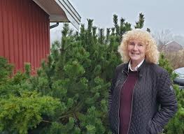 Följ de ämnen och personer som du är intresserad av och skapa på så sätt ett eget nyhetsflöde. Torils Garden Bohuslanningen I Uddevalla Kom For Et Intervju