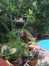 Get 3 coupons for 2020. Must See The Corner Of My Backyard Gets A Design Refresh From At Home Decor Superstore Designed
