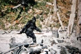 Bigfoot captured on camera in Oregon