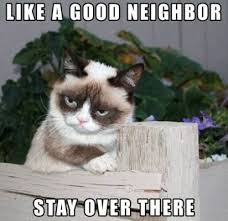 Frowns That Will Make You Smile Grumpy Cat Humor Grumpy Cat Quotes Grumpy Cat Meme
