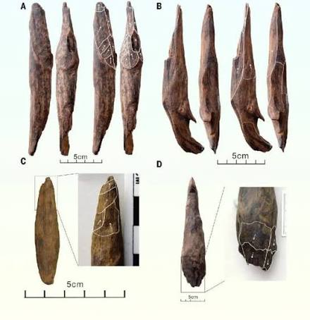 430,000-year-old well-preserved wooden tools are the oldest ever found  Researchers working in southern Greece have identified the oldest known  handheld wooden tools, dated to about 430,000 years ago. The objects came  from