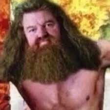 Having a swag similar to the character of hagrid in the harry potter series by jk rowling. Swagrid Parkhefner Twitter