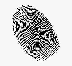 Check spelling or type a new query. Fingerprint Transparent Image Fingerprint Png Png Download Kindpng
