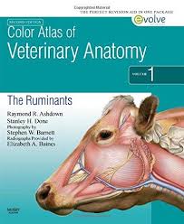 Download Color Atlas Of Veterinary Anatomy Volume 1 Pdf Libribook