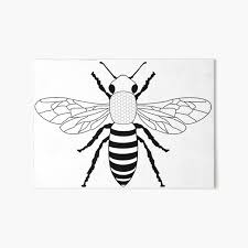 Check spelling or type a new query. Realistic Bee Art Board Prints Redbubble