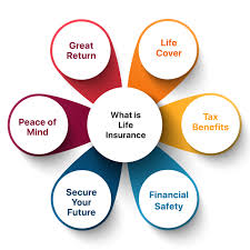When you pass your family and loved ones will have a financial safety. Life Insurance Best Life Insurance Plans In India 2021