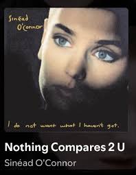 Somiglianze nello stile vocale di Aurora con Dolores O'Riordan (The  Cranberries) e Sinéad O'Connor : r/auroramusic