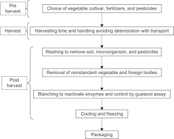 Frozen Vegetable An Overview Sciencedirect Topics