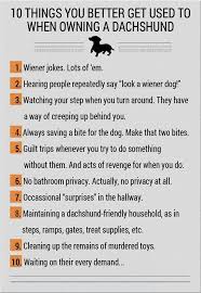 I Own A Doxie Lol This Is Sop True Chocolates Sweet Yummy Delicious Food Chocolaterecipes Choco Dachshund Wiener Dog Dachshund Love