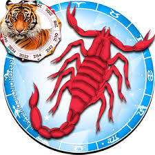 Scorpio Tiger Horoscope The Passionate Scorpio Tiger