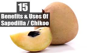 We did not find results for: 15 Amazing Benefits Uses Of Sapodilla Chikoo