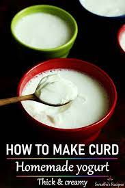 How To Make Curd Or Dahi At Home Thick Curd Recipe Recipe Recipes Curd Recipe Indian Kid Veggie Recipes