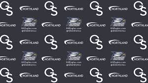 Take your virtual meetings from your favorite place in the office without leaving your home! Spruce Up Your Video Conferences With Gs Themed Zoom Backgrounds Georgia Southern University Athletics