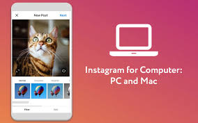 You can't publish or do any specific search. Pc Application For Instagram