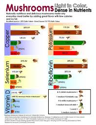 wild berry identification chart google search stuffed