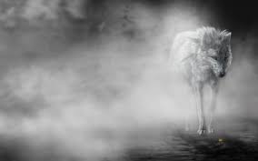 For best results, it should be 1920x1080 resolution for ps4, and 3860x2160 for ps4 pro. 180 Wolf Hd Wallpapers Hintergrunde