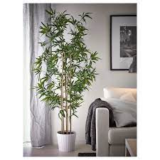 When you're adding plants to your home, give them a home of their own in plant pots. Fejka Artificial Potted Plant In Outdoor Bamboo 23 Cm Ikea