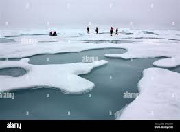 Image result for Atlantic Blue 2010 Terrain