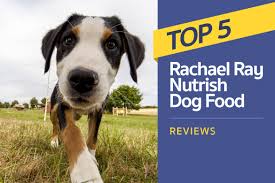 top 5 rachael ray nutrish dog food reviews 2019 ratings