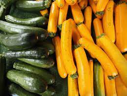 Zucchini Mit Zu Viel Cucurbitacin Hat Todliche Folgen Der Spiegel