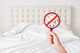 Cost is always an important factor to consider when hiring a pest control company, followed closely behind. How Much Does Pest Control Cost In Singapore Pest Control Singapore