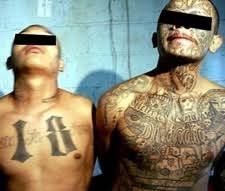 Man with houston oilers tattoo steals in front of child. Stop Houston Gangs Report Gang Crime Tips Violence Texas Gangs