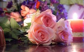 فرق كبير بين أن تحبها لأنها جميلة ، وأن تكون جميلة لأنك تحبها♡. ØµÙˆØ± Ø®Ù„ÙÙŠØ§Øª Ø¬Ù…ÙŠÙ„Ù‡ Ø®Ù„ÙÙŠØ§Øª Ù…Ù†Ø§Ø¸Ø± Ø·Ø¨ÙŠØ¹ÙŠÙ‡ ÙˆØ§Ø²Ù‡Ø§Ø± Ø§Ù„Ù…Ù†Ø§Ù…