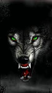 Find and download wolf wallpaper on hipwallpaper. Angry Wolf Wallpaper Phone Hd