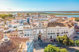 Image result for Faroa duvigneaud