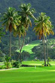 Moorea Green Pearl Golf Club 5 Golf Courses Nature Photography Golf Course Photography
