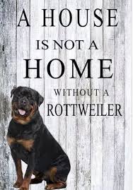 Rottweiler Rottweiler Puppies Rottweiler Rottweiler Love