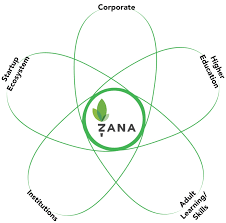 The petal diagram template contains all the tools you need to create a professional presentation. Steve Blanka New Way To Look At Competitors