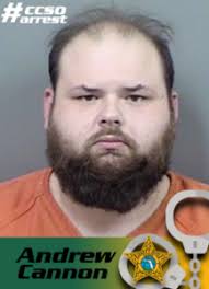 Deputies seize 13 firearms, narcotics cache when serving arrest warrants