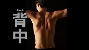 Aug 10, 2021 · 広くて厚い背中や引き締まった背中は、ボディラインを整えるために必要な部位です。とはいえ、背中は自分では見えません。そのためトレーニング中も意識しにくく、疎かにしがちな部位でしょう。 今回は背中を鍛えるための、ダンベル … èä¸­ã®ç­èç¾¤ã'å¶ããèã¯ãã¹ã¦ã'å¶ã å§¿å¢ç¶­æã®ä¸­æ ¸ èä¸­ãã¬ã¼ãã³ã°3ç¨®ç® Tarzan Web ã¿ã¼ã¶ã³ã¦ã§ã