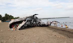 Shocking Beached Whale Installation Washes Up In The Philippines Ocean Pollution Installation Art Whale Art