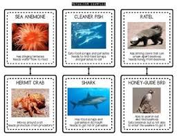 Stem Ecosystem Interspecific Relationships Symbiosis Cla Symbiosis Symbiotic Relationships Relationship
