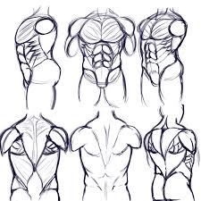 Leonardo da vinci s human torso anatomical drawing at the queen s. Torso Study And Anatomy Sketches By Neos8 Fur Affinity Dot Net