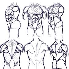 Collection by val • last updated 8 weeks ago. Torso Study And Anatomy Sketches By Neos8 Fur Affinity Dot Net