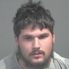 Two arrested, one sought by police following alleged beating, dog theft in  Townsend