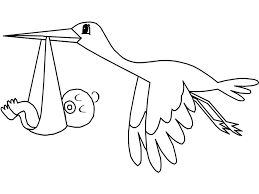 9 Pics Of Baby Parrot Coloring Pages Printable Cute Baby Animal Baby Coloring Pages Bird Coloring Pages Free Christmas Coloring Pages