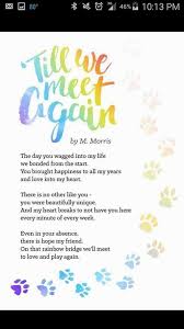 Til We Meet Again Dog Eulogy Pet Quotes Dog Dog Poems Pet Grief