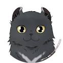 カワイスギクライシス