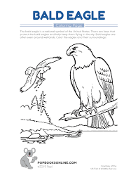 The feet and beak are a terrible bronze color and the blue stripes added to the white look like krap. The Bald Eagle Pop Books Online