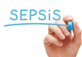 El choque séptico o shock séptico es un estado anormal grave del organismo en el cual existe hipotensión prolongada por cierto período, generalmente dos horas o más. Guia Internacional Para El Manejo De La Sepsis Y El Shock Septico Articulos Intramed