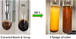 Image result for Tessmannia burttii