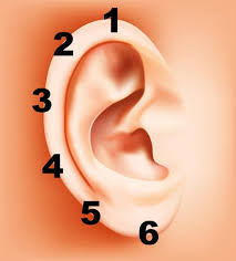 Placez Une Pince A Linge Sur Votre Oreille 5 Secondes Son Effet Incroyable Vous Surprendra Reflexologie Oreille Trucs Et Astuces Oreille
