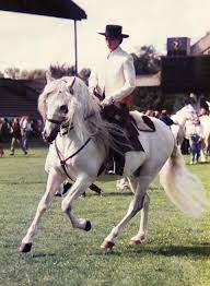 Check spelling or type a new query. Anja Beran Anja Beran