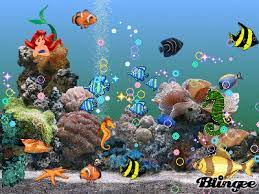 L Aquarium Picture 89175249 Blingee Com Fish Wallpaper Aquarium Pictures Aquarium Fish
